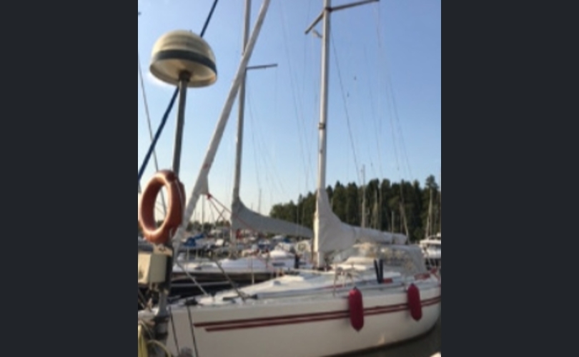 Finngulf Seaking-kuva-1